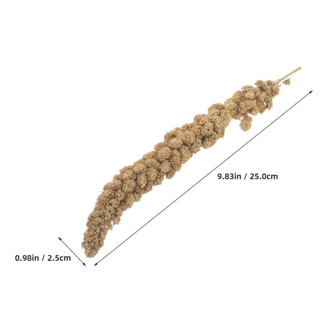 Millet Treat for Pet Birds Bird Snack Natural Dried Millet for Parakeets Parrots Cockatiels Lovebirds Budgies Finches Supplies