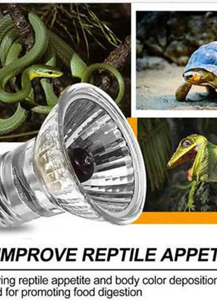 220V 25/50/75W UVA+UVB Reptile Lamp Bulb Turtle Basking UV Light Bulbs Heating Lamp Amphibians Lizards Temperature Controller