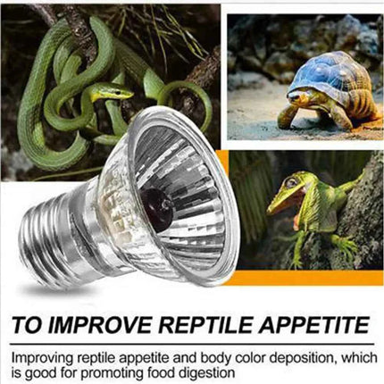 220V 25/50/75W UVA+UVB Reptile Lamp Bulb Turtle Basking UV Light Bulbs Heating Lamp Amphibians Lizards Temperature Controller