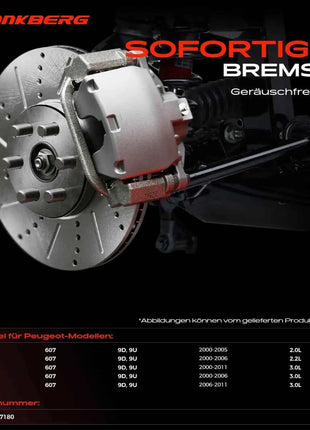 Dischi Freno Posteriori Frankberg 2x per Peugeot 607 9D 9U 2.0L 2.2L 3.0L 2000-2011 4246V7 9640247180