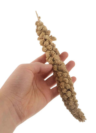 Millet Treat for Pet Birds Bird Snack Natural Dried Millet for Parakeets Parrots Cockatiels Lovebirds Budgies Finches Supplies