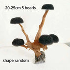 18-23cm 5 heads