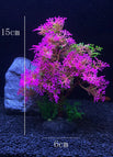 Rose red Tree