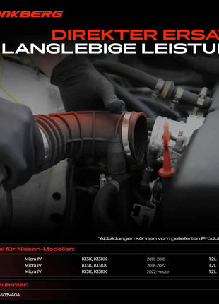 Frankberg 1x Filtro dell'aria con tubo di aspirazione per Nissan Micra IV K13 1.2L Bj dal 2010 144603VA1A 144603VA0A