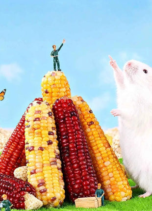 Hamster corn chew sticks, small corn, golden hamster, hamster, rabbit, chinchilla, mice, nutritious, chew and strengthen teeth