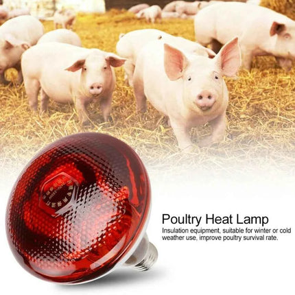 Infrared Heat Lamp Waterproof Anti-Explosion Thickened Light Bulbs For Piglet Chicken Birds Outdoor Heating Cooling Lighting