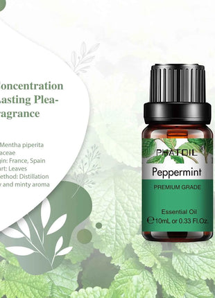 PHATOIL Natural Plant Essential Oil 10ml Eucalyptus Lavender Bergamot Vanilla Peppermint 1PCS Aroma Essential Oils For Diffuser