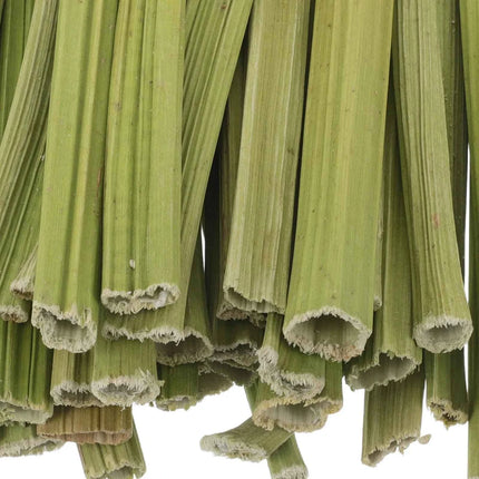 1Set Papaya Stem Chew Sticks 100g Natural Rabbit Treats for Hamsters Chinchillas Guinea Pigs Small Animal Dental Snack