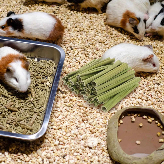 1Set Papaya Stem Chew Sticks 100g Natural Rabbit Treats for Hamsters Chinchillas Guinea Pigs Small Animal Dental Snack