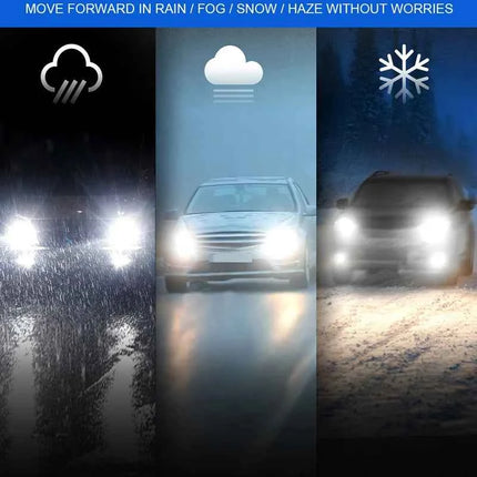 Philips LED H1 H3 H4 H7 H11 Ultinon Pro3101 12V/24V 6000K Bright White HB3 9005 HB4 9006 HIR2 9012 Auto Headlight LED Lamps, 2x