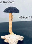 H5-8cm 1 head