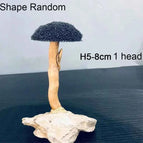 H5-8cm 1 head