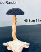 Aquarium Decoration Moss Driftwood Fish Tank Landscaping Water Grass Moss Tree Trunk DIY (No Aquatic Plants)