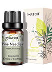 Pine Needles / 10ml
