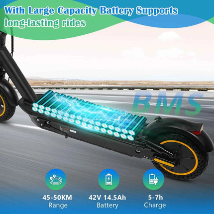 AOVOPRO TX01 Electric Scooter 500W Powerful Motor 35KM/H 45KM 42V14.5AH 10Inch Pneumatic Tyre Smart Foldable A1MAX EScooter