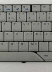 SP White