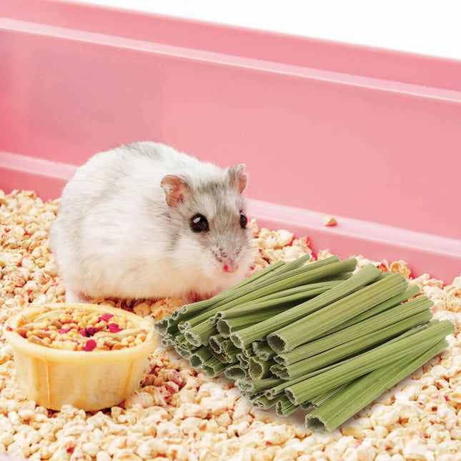 1Set Papaya Stem Chew Sticks 100g Natural Rabbit Treats for Hamsters Chinchillas Guinea Pigs Small Animal Dental Snack