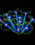 1Pc Silicone Glowing Artificial Fish Tank Aquarium Coral Plants Ornament Underwater Pets Decor Aquatic Pet Supplies Decoration