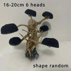 16-20cm 6 heads