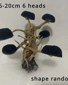 Aquarium Decoration Plant Moss Tree Landscaping Wood Plant Root Driftwood Aquatic Grass Fish Tank Accessories without Moss
