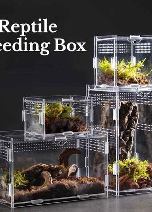 Transparent Acrylic Reptile Terrarium Habitat Box Nano Arboreal Tarantula Enclosure Spider Scorpion Bearded Dragon Habitat