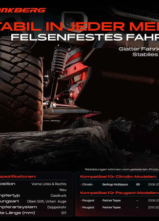 Frankberg 2x ammortizzatori per asse anteriore per Citroën Berlingo Multispace B9 Peugeot Partner anno di produzione dal 2008 520870 520871 520872