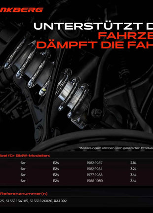 Frankberg 2x Molla per Telaio Asse Anteriore per BMW Serie 6 E24 2.8L 3.2L 3.4L 1977-1989 31331126025 31331134185 31331126026 RA1092