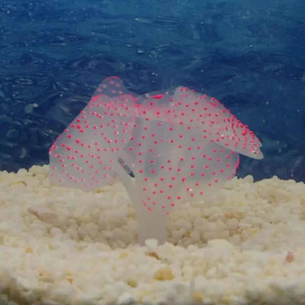 1Pc Silicone Glowing Artificial Fish Tank Aquarium Coral Plants Ornament Underwater Pets Decor Aquatic Pet Supplies Decoration