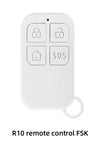 R10 Remote FSK / Spina del Regno Unito