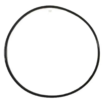 P6662Ass16 O-ring di alta qualità per filtri a sabbia Bestway da 530 Gal/ora 58397 e 58515 Accessorio pompa Filtro O-Seal