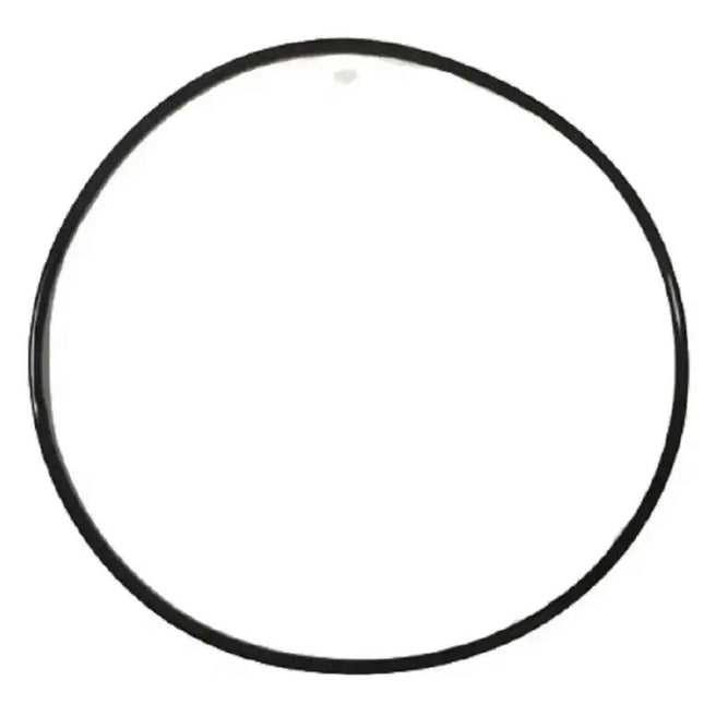 P6662Ass16 O-ring di alta qualità per filtri a sabbia Bestway da 530 Gal/ora 58397 e 58515 Accessorio pompa Filtro O-Seal