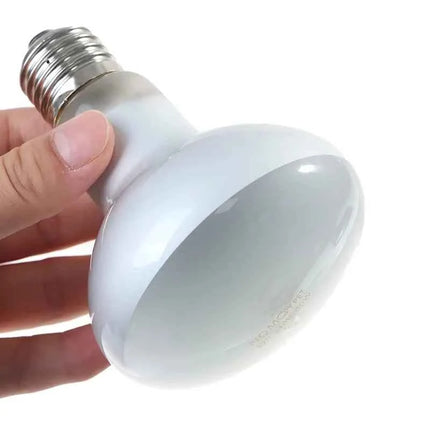 40W 50W 75W 100W UVA Reptile Lamp Bulb Turtle Basking Light Bulbs Heating Lamp Amphibians Lizards Temperature Controller