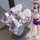 DDT-1107Purple / 35