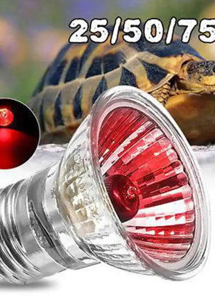 220V 25/50/75W UVA+UVB Reptile Lamp Bulb Turtle Basking UV Light Bulbs Heating Lamp Amphibians Lizards Temperature Controller
