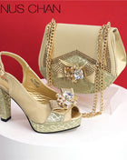Fashion African Shoes and Evening Bag Italian Design Women's Shoes New Style High Heels Comfortable Ladies Shoes and Handbags