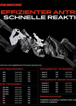 Serratura Porta Posteriore Sinistra Frankberg 1x per VW Golf Plus V VI Variant Jetta IV Touareg Touran Seat Toledo III Skoda 7L0839015A