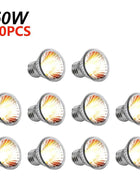 1-20PCS 25/50/75W UVA+UVB Reptile Lamp Bulb Turtle Basking Heating Light UV Light Bulbs Full Spectrum Sunlamp for Amphibians