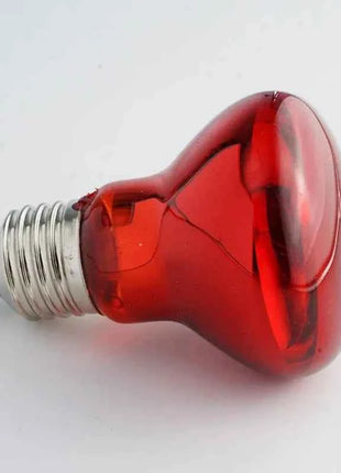 Pet Heating Lamp UVA Day Night Amphibian Amphibian Snake Lamp Heat Reptile Bulb Light Heat Reptile Bulb 25/50/75/100W 220-240V