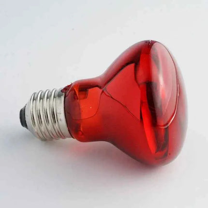 Pet Heating Lamp UVA Day Night Amphibian Amphibian Snake Lamp Heat Reptile Bulb Light Heat Reptile Bulb 25/50/75/100W 220-240V
