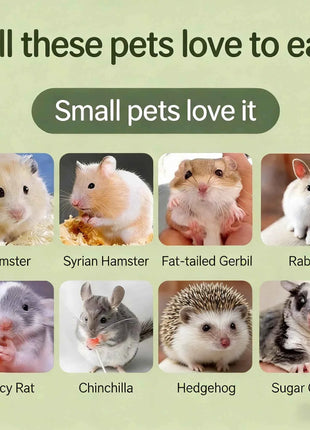 Hamster cheese teeth-grinding snacks, freeze-dried cheese, edible golden hamster food, nutrition supplement for weight gain, cal