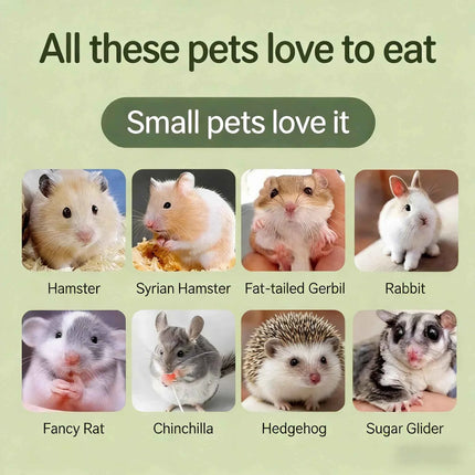 Hamster cheese teeth-grinding snacks, freeze-dried cheese, edible golden hamster food, nutrition supplement for weight gain, cal