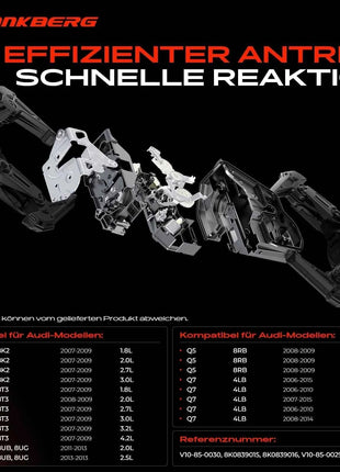 Frankberg 2x Serratura Porta Posteriore per Audi A4 Allroad Avant A5 Sportback Q3 Q5 Q7 1.8L 2.2.7L 3.0L 2006-2015 V10-85-0030