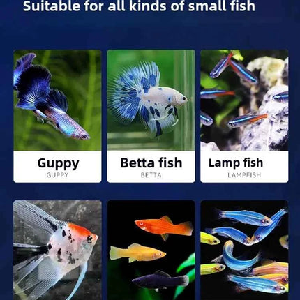AMF Zebrafish, Guppy, Angelfish & Tetra Fish Food - Co-branded High-Nutrition Micro Pellets for All Small Tropical Fish