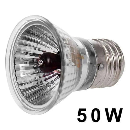 220V 25/50/75W UVA+UVB Reptile Lamp Bulb Turtle Basking UV Light Bulbs Heating Lamp Amphibians Lizards Temperature Controller