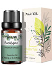 Eucalyptus / 10ml