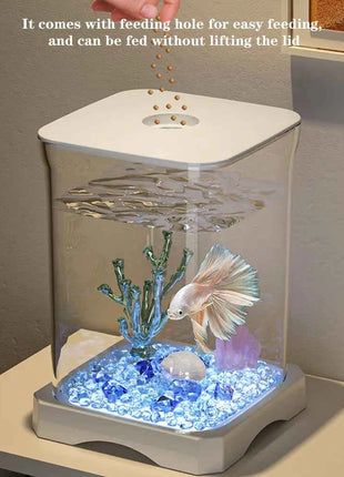 Aquarium Starter Kit Mini Desktop Rectangular Fish Tank With Top Feeding Hole with Bottom Light Tabletop Decoration For Betta