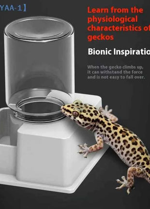【ZYAA-1】Reptile Water Bottle Automatic Water Feeder With Bottle For Tortoise Turtle Lizard Anti Drowning Water Dispense