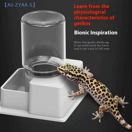 【ZYAA-1】Reptile Water Bottle Automatic Water Feeder With Bottle For Tortoise Turtle Lizard Anti Drowning Water Dispense