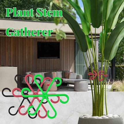 Supporti per Foglie Alocasia e Monstera - Set 4 Pezzi per Piante Rampicanti