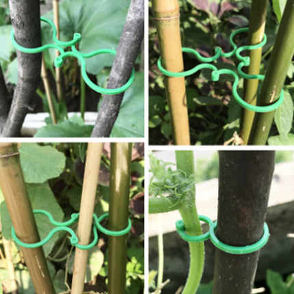 Clip per Piante in Plastica - Set 50/100 Pezzi